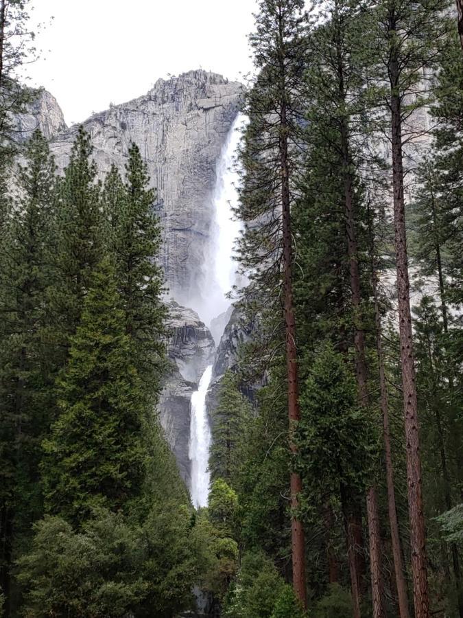 Yosemite Foothill Retreat - Private Guest Suite #2 Coarsegold Esterno foto